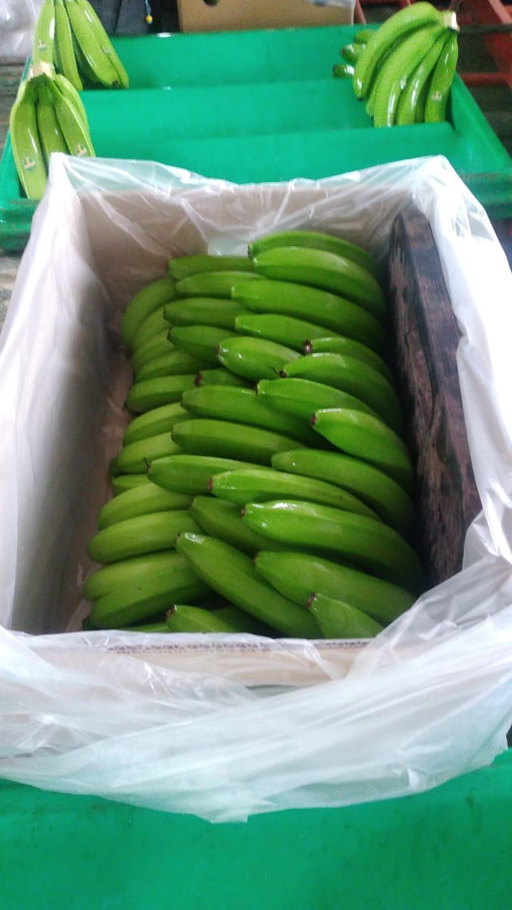 IMG-20240205-WA0095
